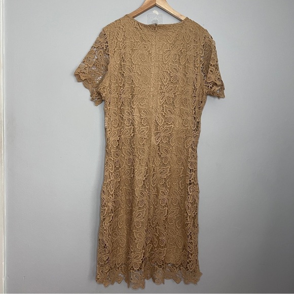 Colette Collection Floral Lace Tan Sheath Dress for Wedding Guest Size XXL NWT - Picture 4 of 9